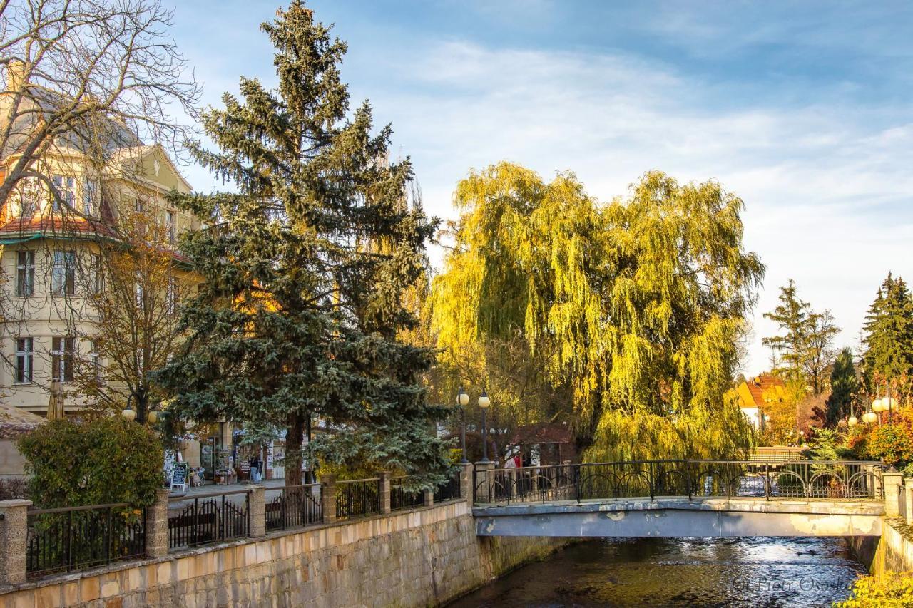 Apartament Polaniczanka Polanica-Zdrój Zewnętrze zdjęcie